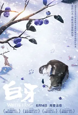 午夜精品视频